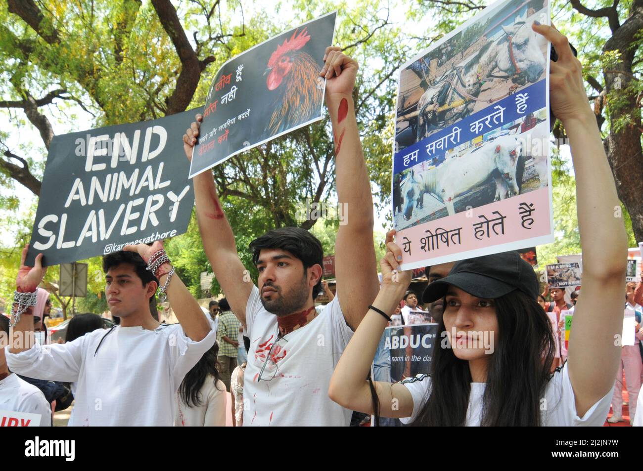New Delhi, India. 02nd Apr, 2022. Activist of Animal Saver Vegans, unite in grassroots animal liberation protest, holding posters and banners of slogun and animal Pictures, gathered freedom from exploitation and abuse is an inalienable right for both human and non-humans in New Delhi, India on Saturday, April 2, 2022. (Photo by Ravi Batra/Sipa USA) Credit: Sipa USA/Alamy Live News Stock Photo