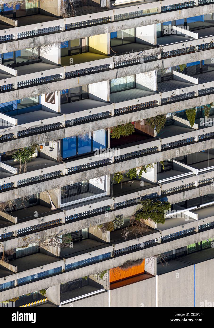 A vertical shot of a modern building with balconies and vegetation ...
