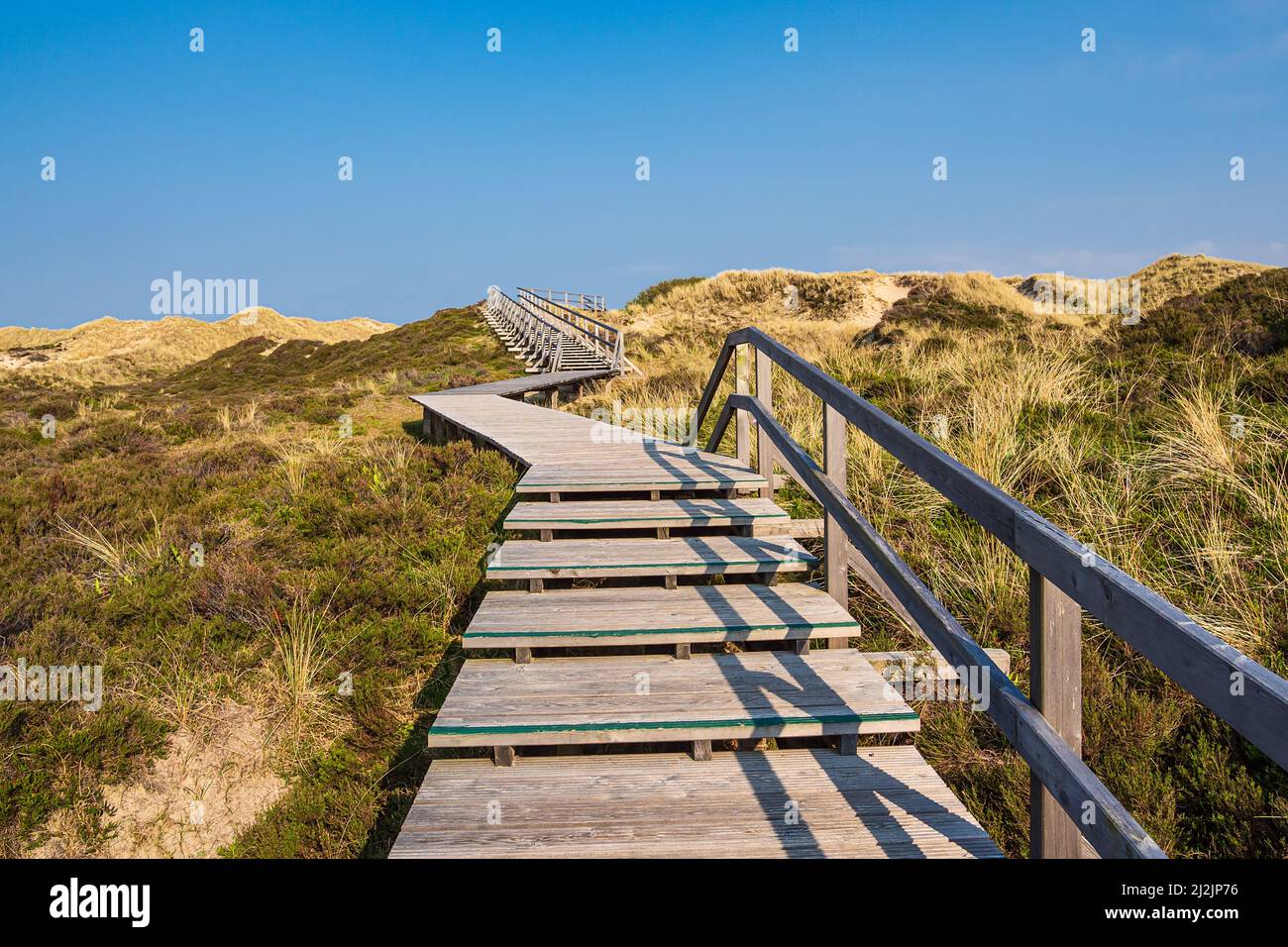 Landscape in the dunes in Norddorf on the North Sea island Amrum ...