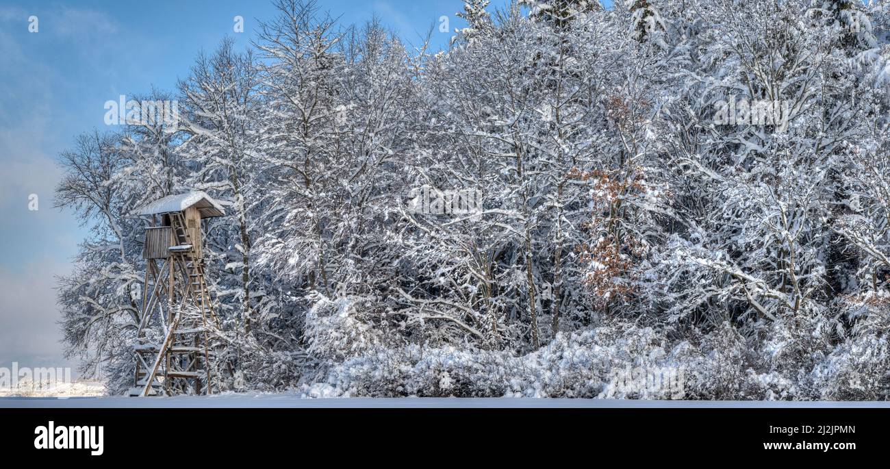 Winter in the hunting area. A snow-covered high hunting pulpit stands abandoned in the sun at the winter forest edge. Stock Photo