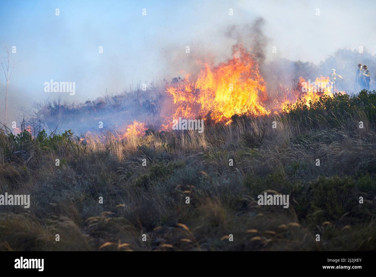 Burning everything in its path. Shot of a wild fire burning. Stock Photo