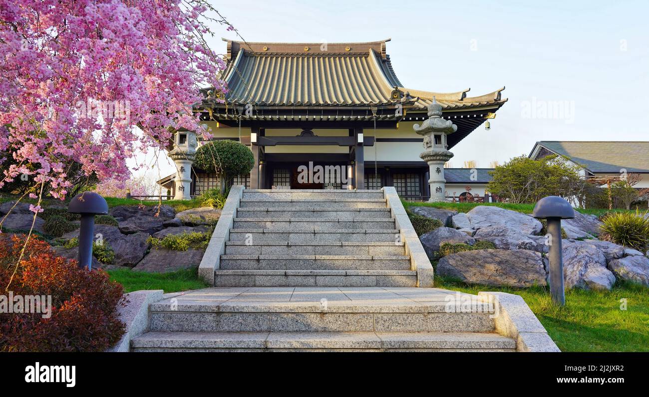 Temple garden of the eko house of japanese culture hires stock