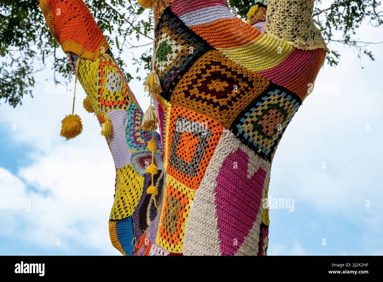 Colorful crochet knit on a tree trunk yarn bombing. Patchwork