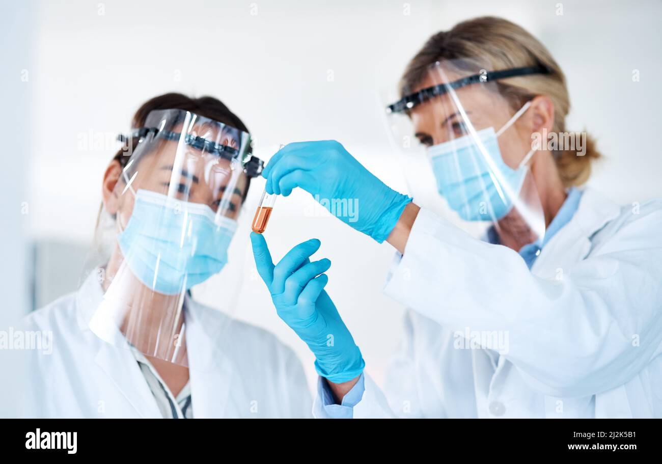 Understanding the workings of the world through science. Shot of two scientists analysing samples together in a lab. Stock Photo