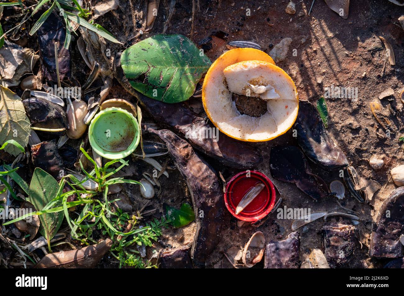 Garbage in meadow. Rubbish, trash left after picnic. People illegally