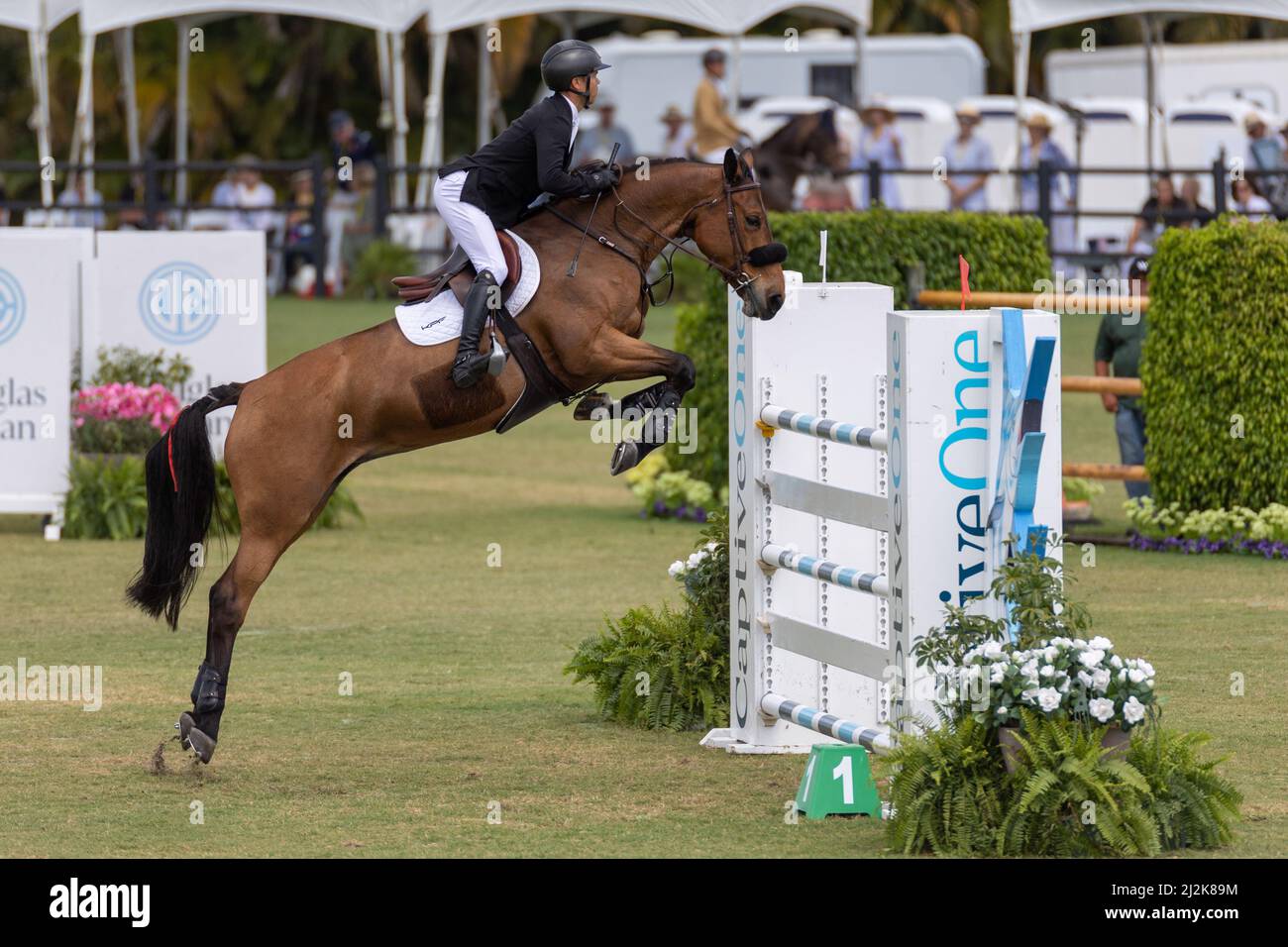 Equestrian discipline hires stock photography and images Alamy