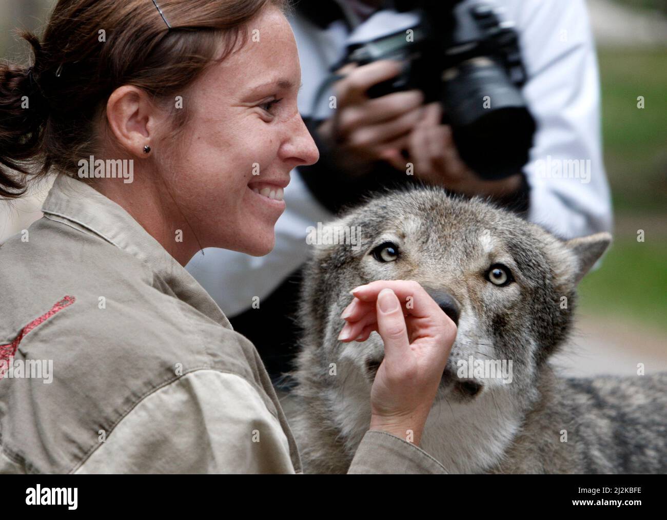 The football players from the Swedish women's soccer national team, visited Kolmården's zoo and the wolves, during the Swedish women's national team's World Cup camp in Kolmården. In the picture. Hanna Ljungberg. Stock Photo