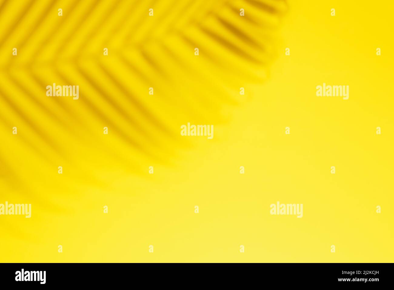 Abstract background with palm leaf natural shadows on a yellow wall ...