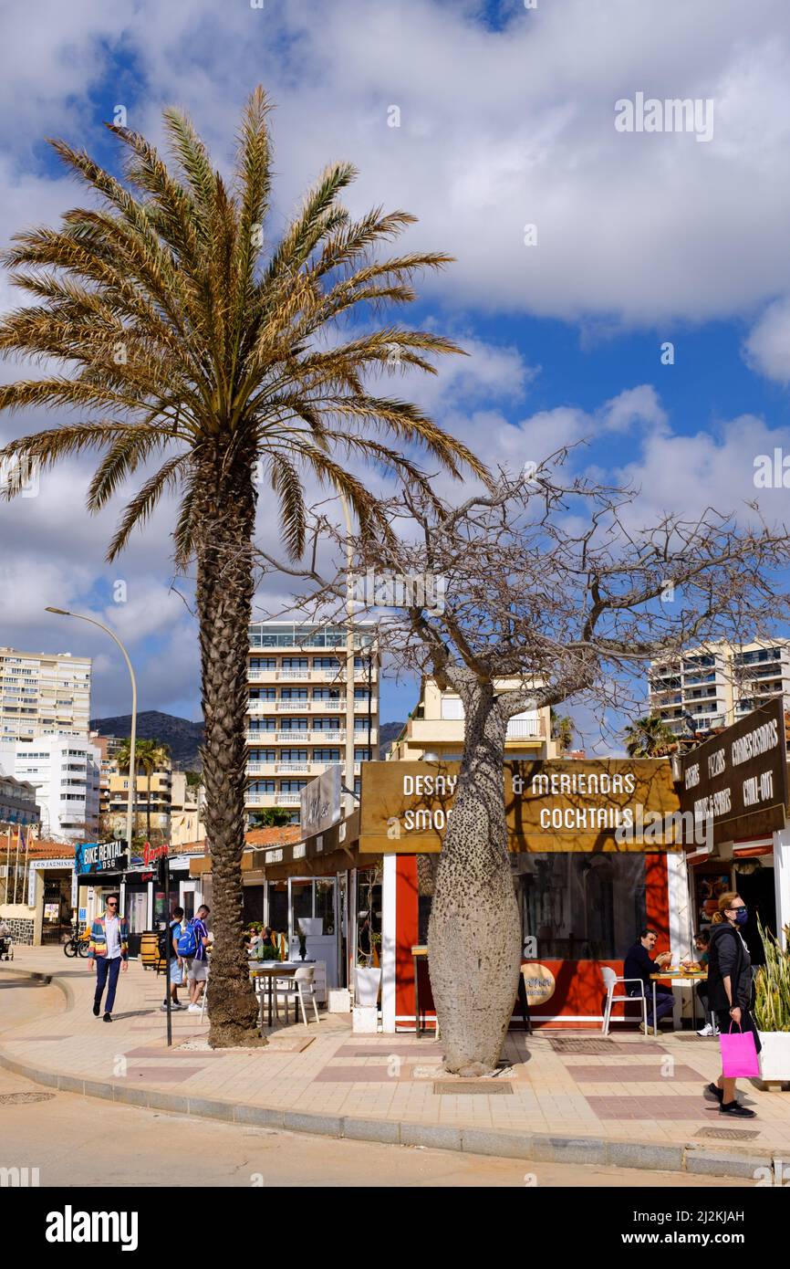 Sea front, beach and hotels now busy again as visitors return to holiday in Torremolinos, Malaga, Spain Stock Photo