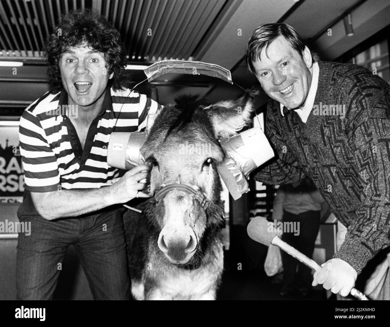 Stan Boardman and Radio Merseyside DJ Billy Butler with Hickory the donkey. Hickory is starring in Cinderella at New Brighton with Stan Boardman, pictured at Radio Merseyside with Billy Butler. 14th January 1988. Stock Photo