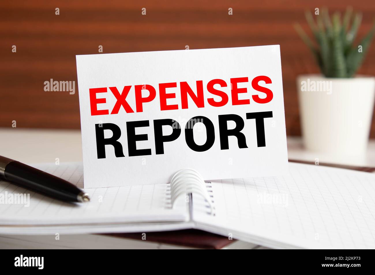 Expense report. The text label in the form of planning. Business