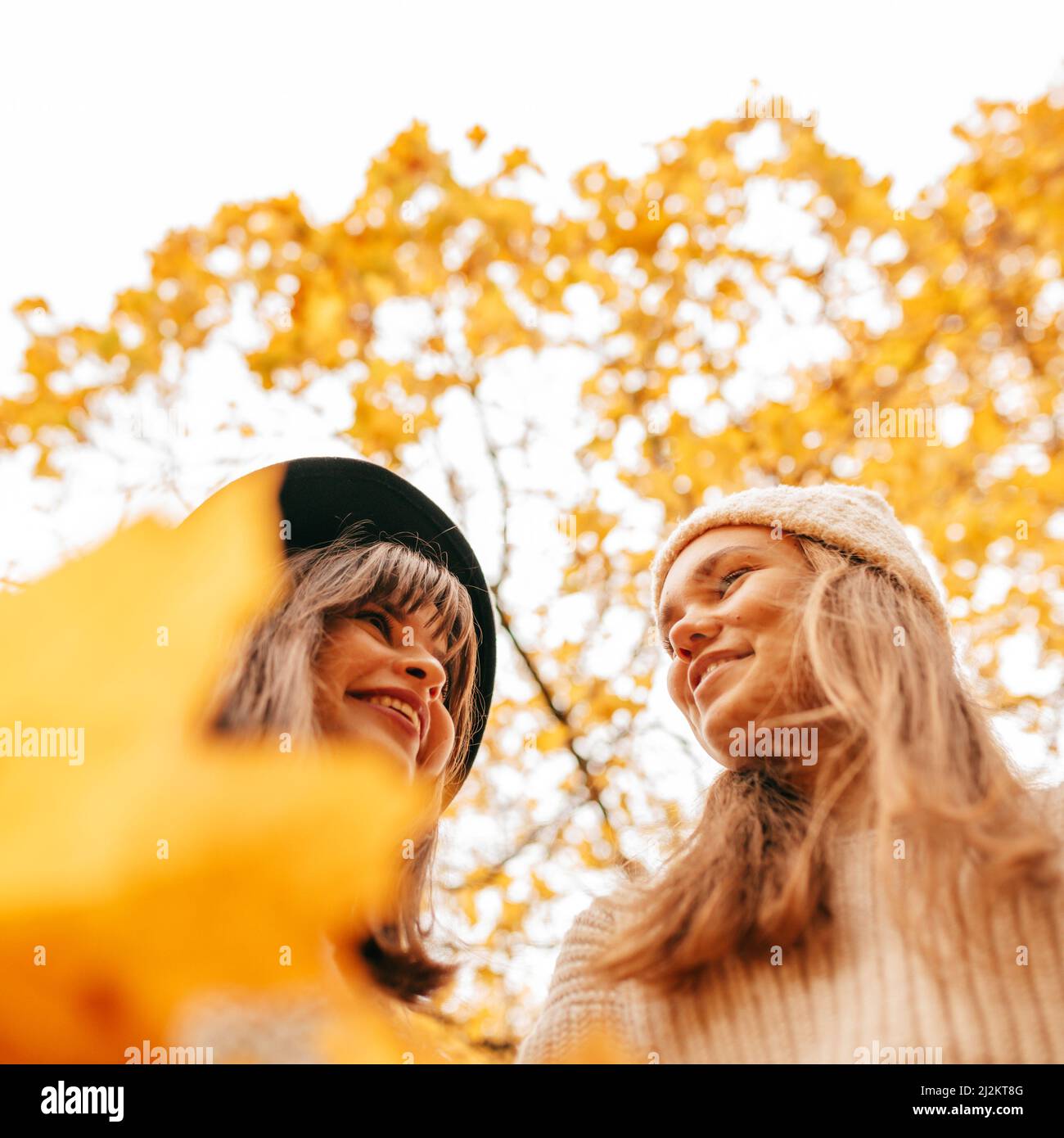 Two happy glad smiling girls, spending time in yellow maple park, weekend activity. Looking each other gently. Low angle Stock Photo