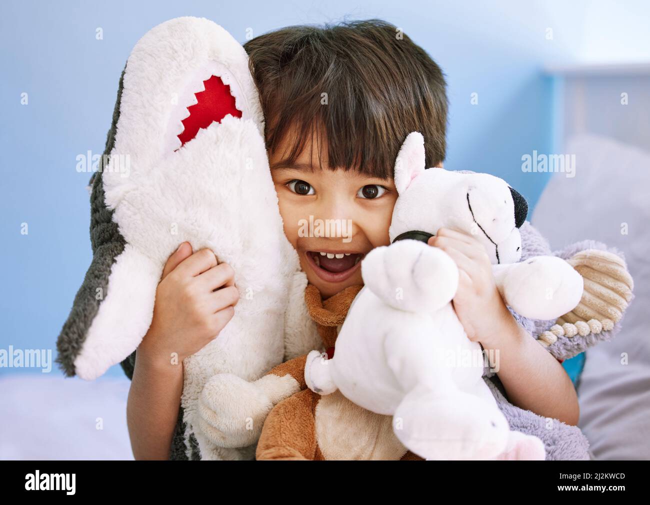 These are all my cuddly friends. Portrait of an adorable little boy