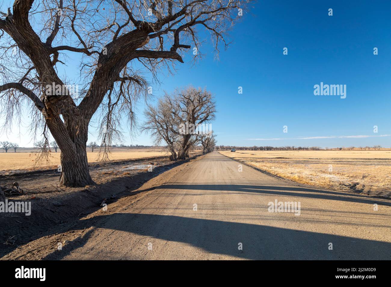 Granada, Colorado - The entrance road to the World War II Amache Japanese internment camp in southeast Colorado. The site became part of the National Stock Photo