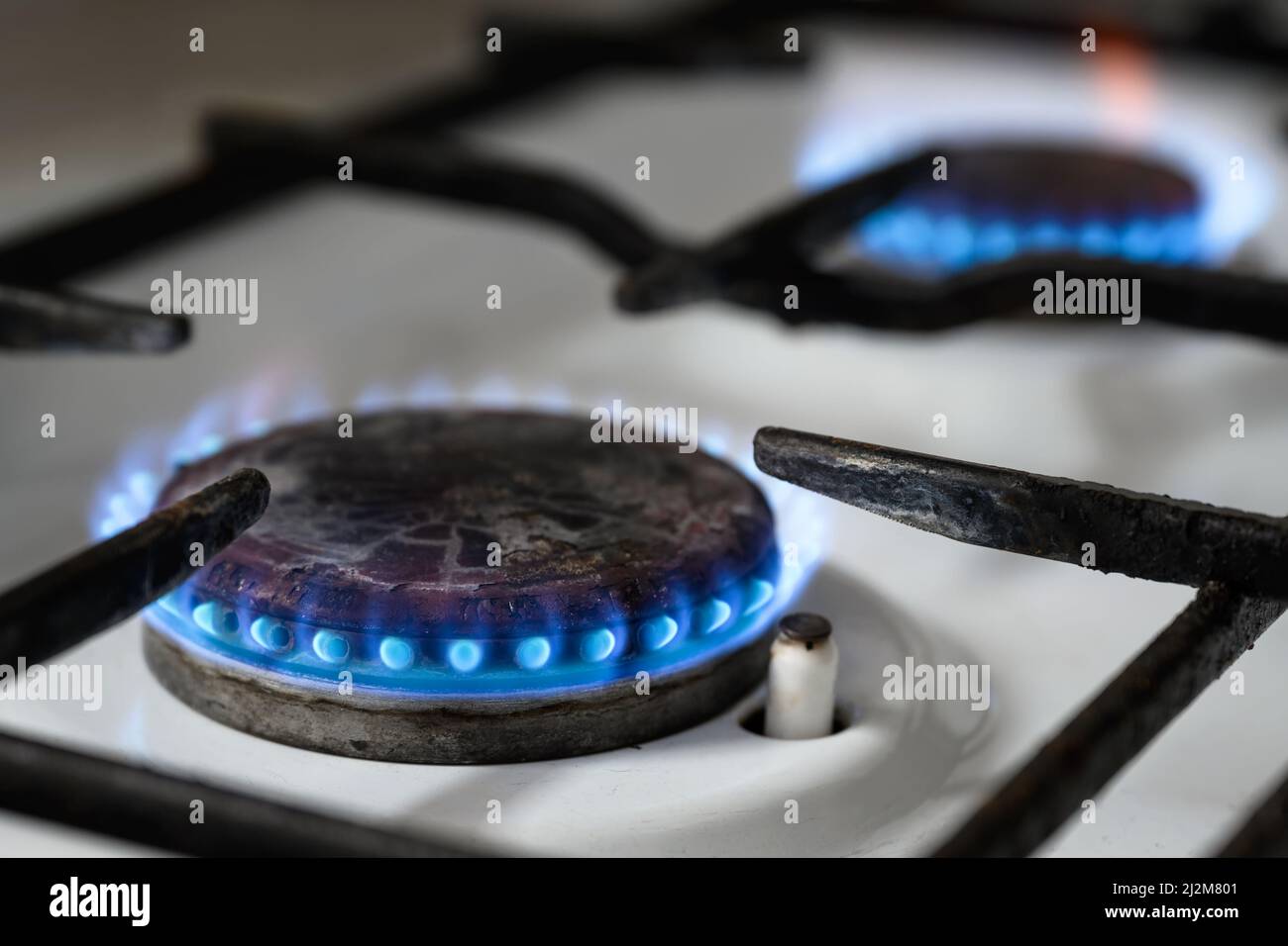 Gas stove at home, natural propane gas burns in kitchen, blue fire flame of burners for cooking. Concept of Russia and Europe economy, gas cost, heat, Stock Photo
