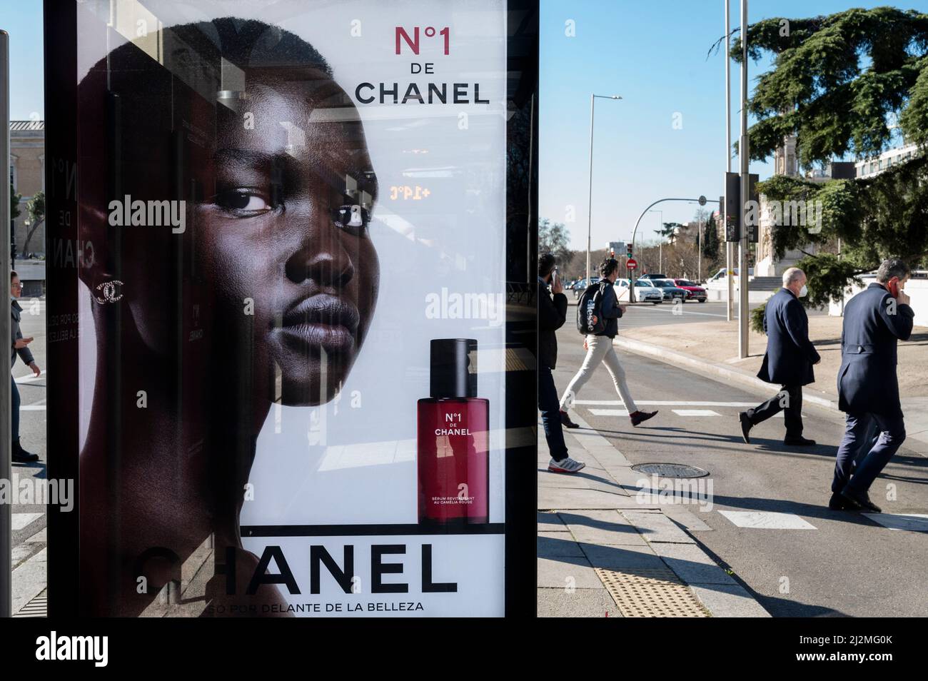 Zebra logos hi-res stock photography and images - Alamy