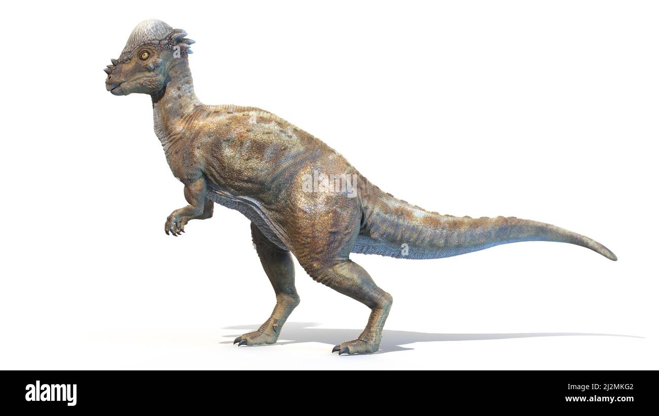 Pachycephalosaurus Extinct Animal Dinosaur Hi Res Stock Photography And Images Page 2 Alamy