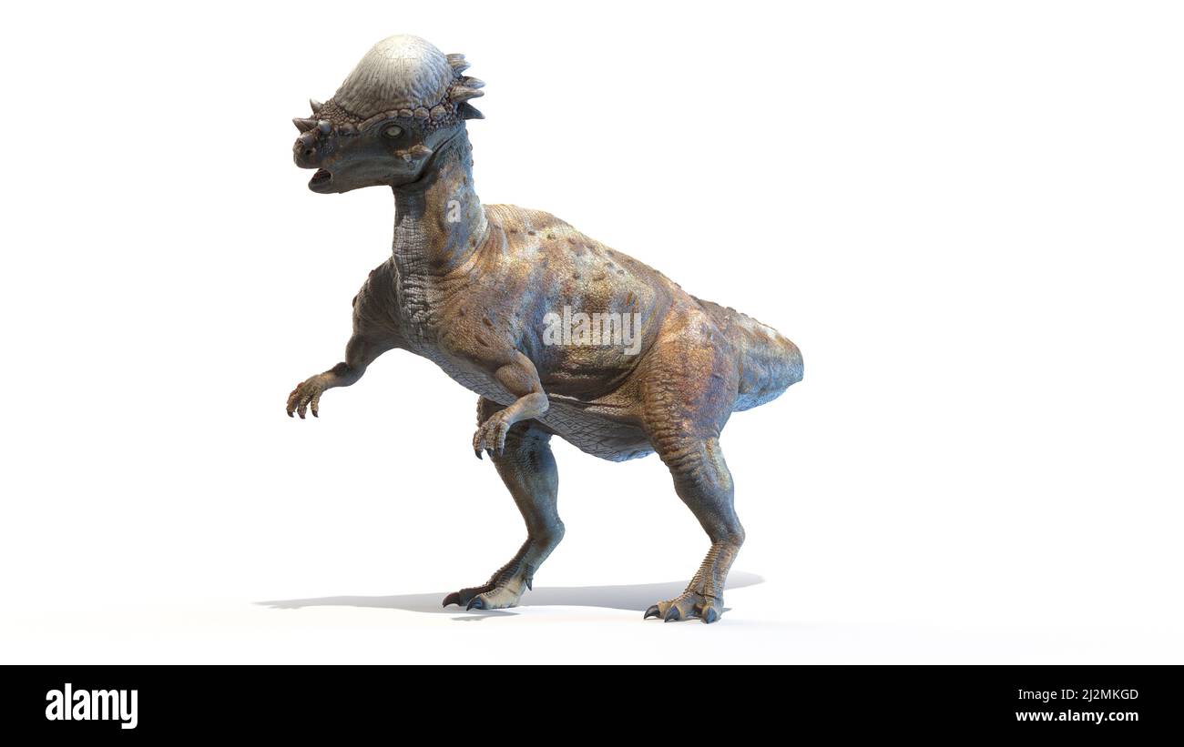 Pachycephalosaurus Hi Res Stock Photography And Images Page 2 Alamy