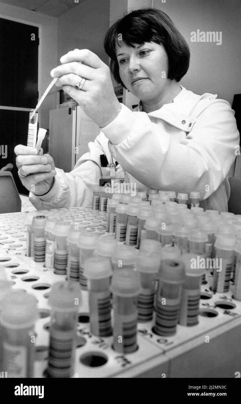 Jenny Wright, a medical laboratory scientific officer, preparing a batch of samples at Coventry and Warwickshire Hospital, Coventry, West Midlands, 4th June 1990. Stock Photo