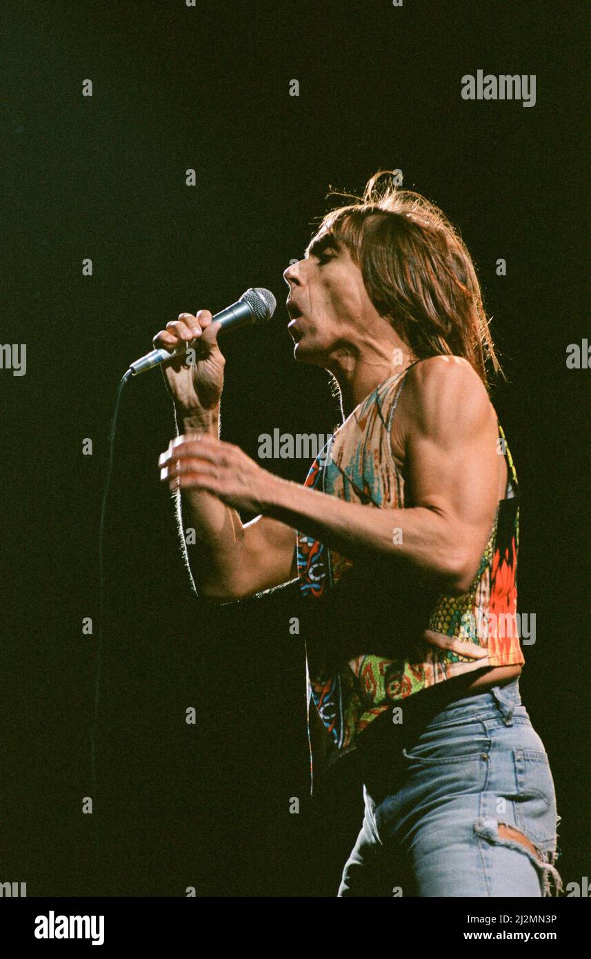 Iggy Pop (USA singer) performing at The Reading Rock Festival,  Little John's Farm, Reading, England, on Friday 23rd August 1991. Iggy's birth name is  James Newell Osterberg, Jr.  Iggy's set list for the show included  Down on the Street, My Baby Wants to Rock & Roll, Raw Power, Gimme Danger,  Loose, T.V. Eye, Dirt, Love Bone, Five Foot One, China Girl, Lust for Life, Candy  Picture taken 23rd August 1991 Stock Photo