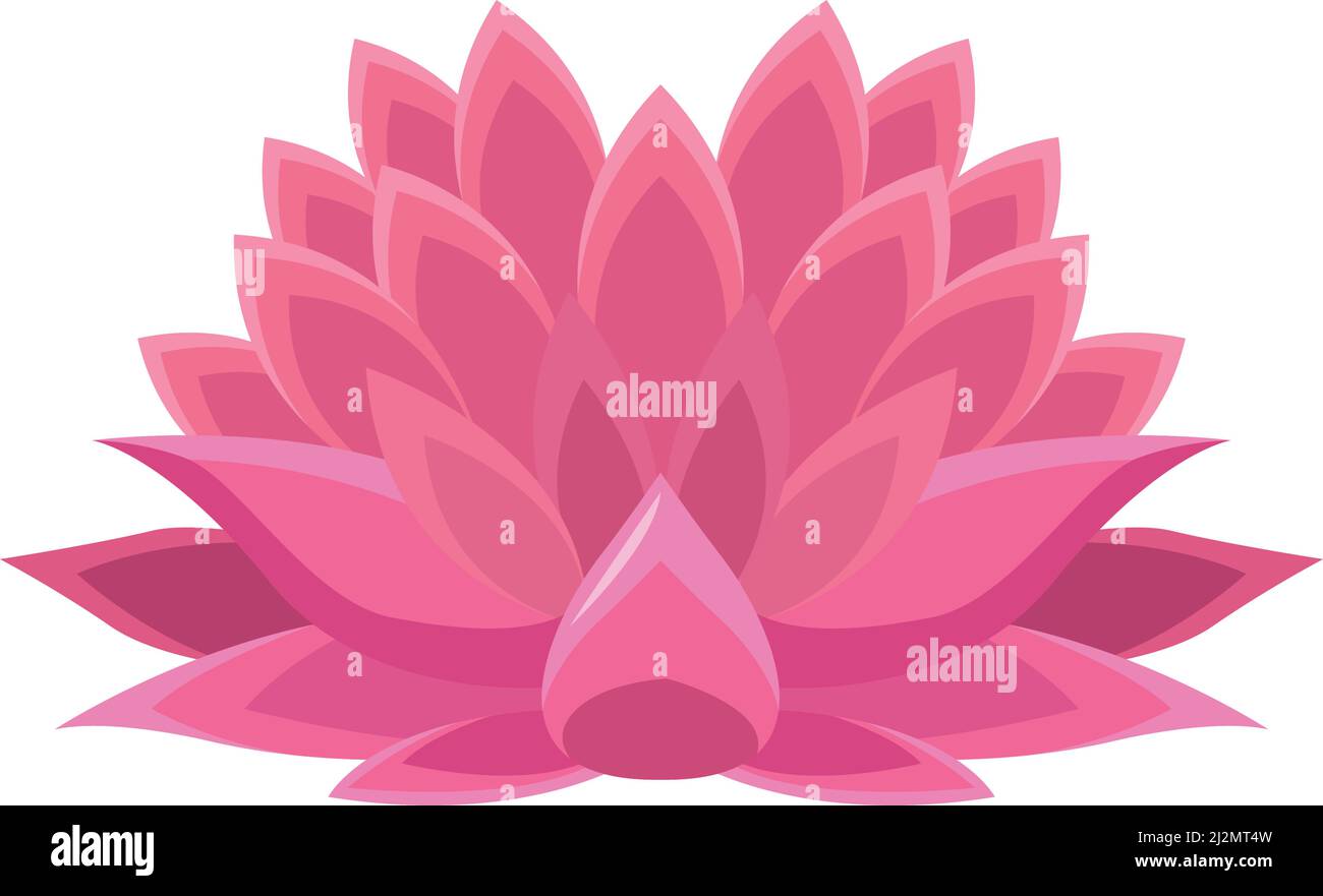 pink lotus flower Stock Vector Image & Art - Alamy