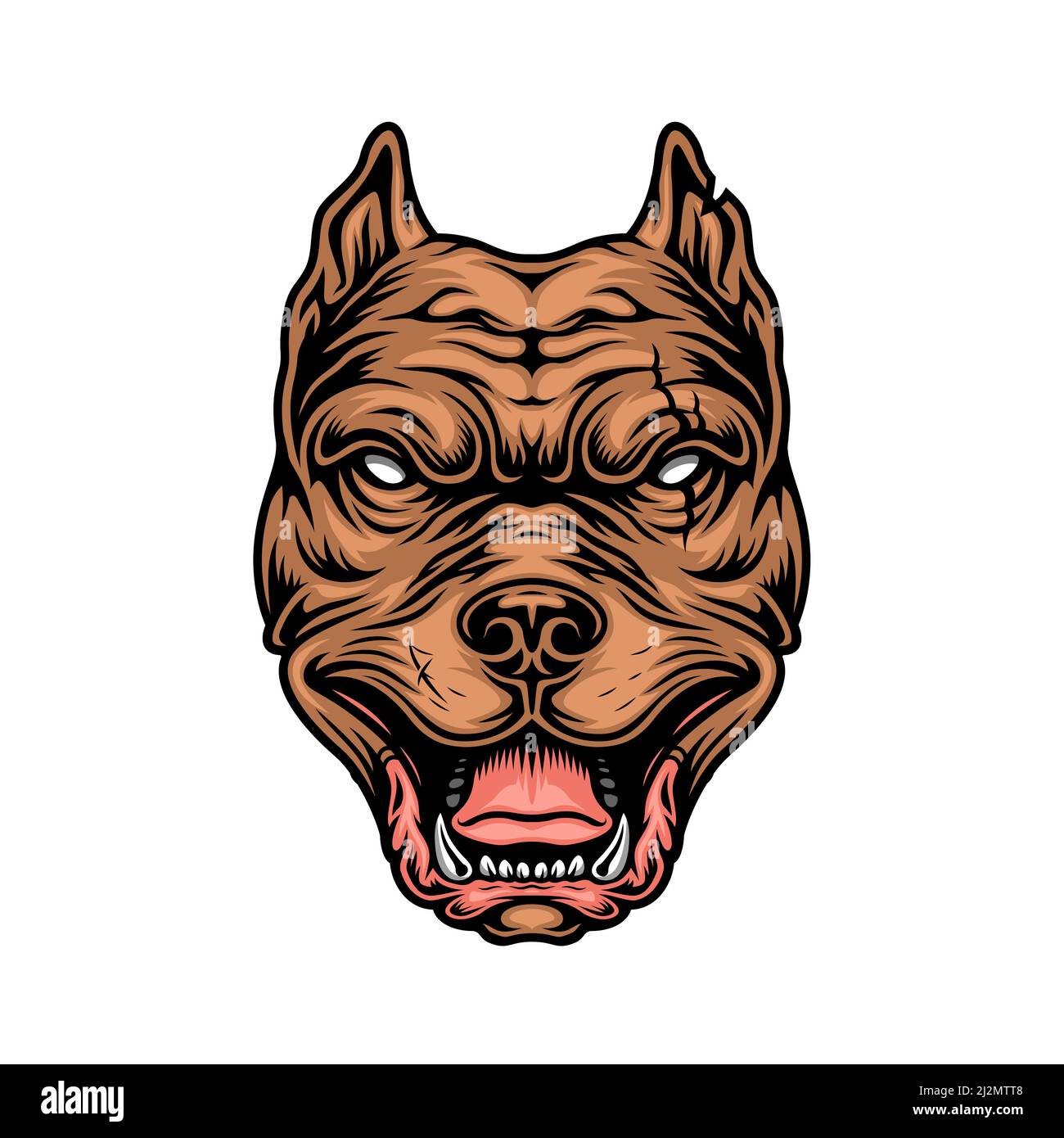 Vintage Colorful Cruel Pitbull Head On White Background Isolated Vector