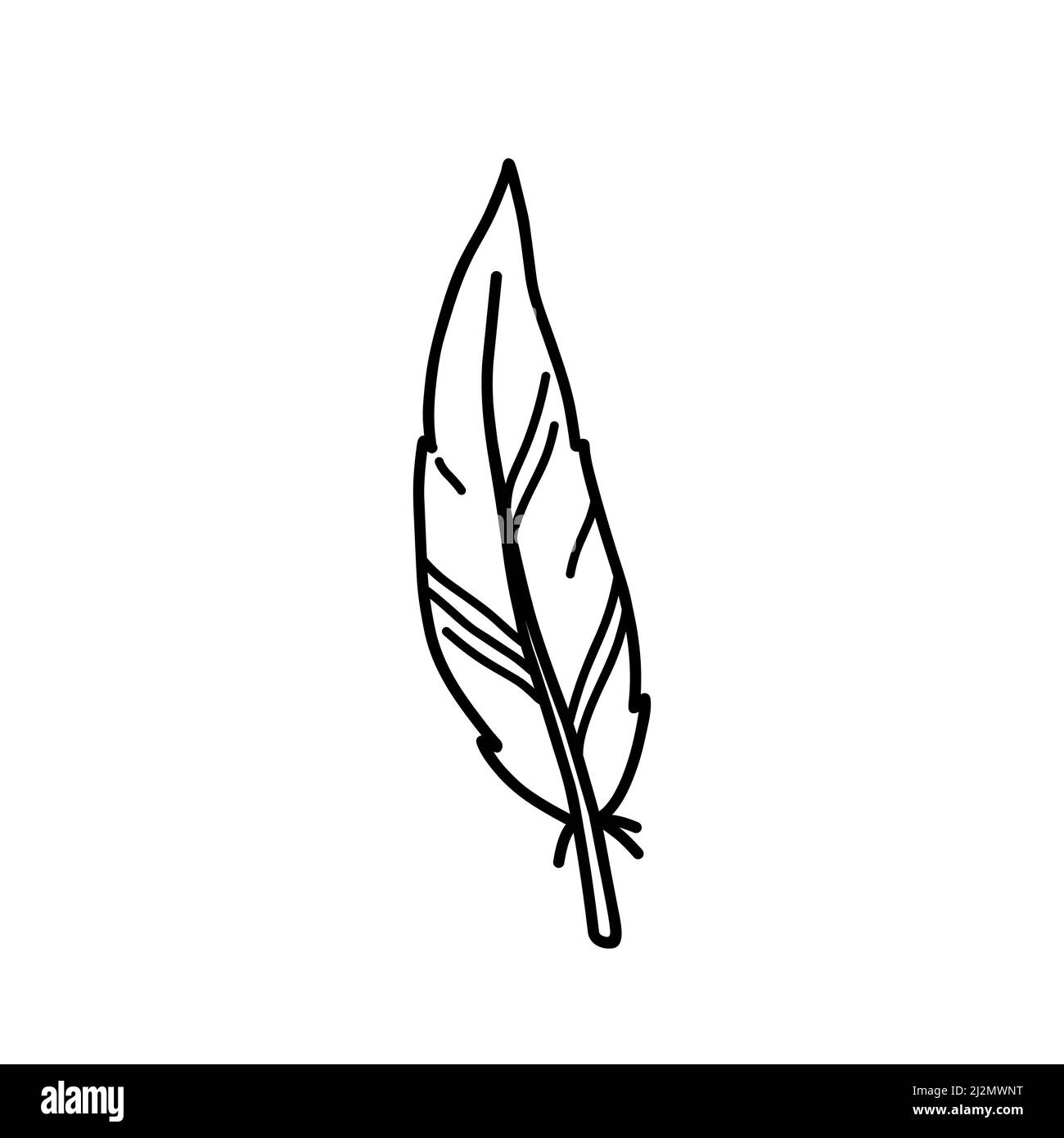 Bird feather isolated on white background. Vector hand-drawn illustration in doodle style. Perfect for cards, decorations, logo, various designs. Stock Vector