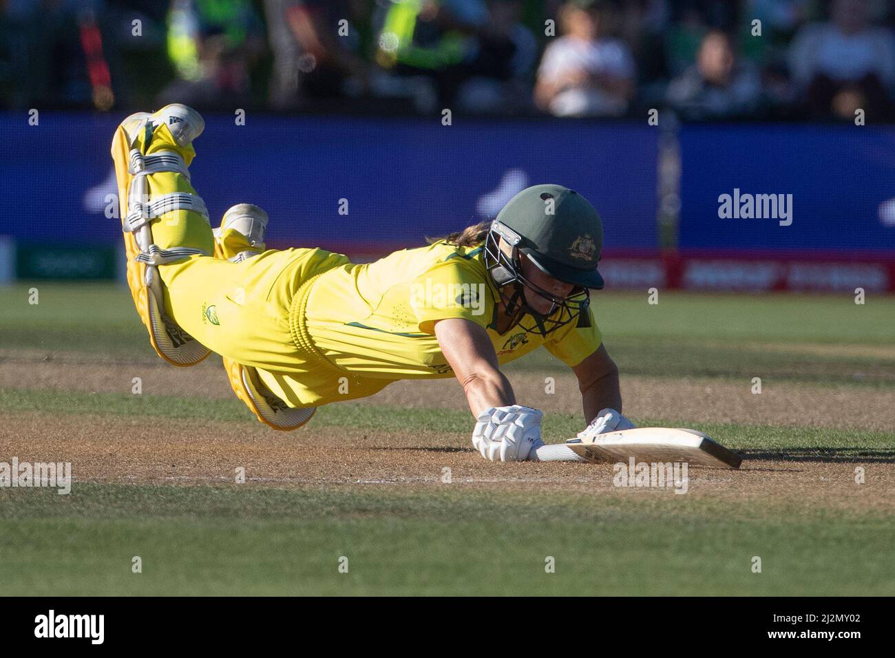 ellyse-perry-world-cup-final-2022-hi-res-stock-photography-and-images