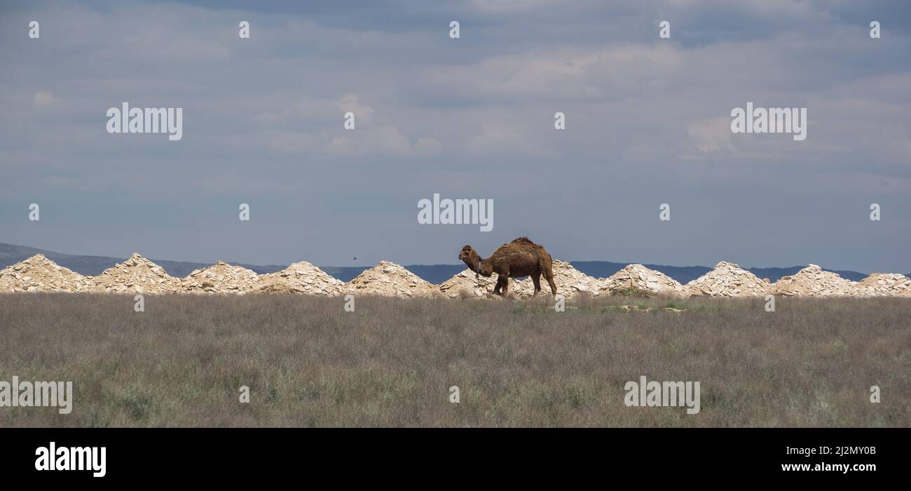 Heaps of stones are geometrically similar to a camel's hump Stock Photo