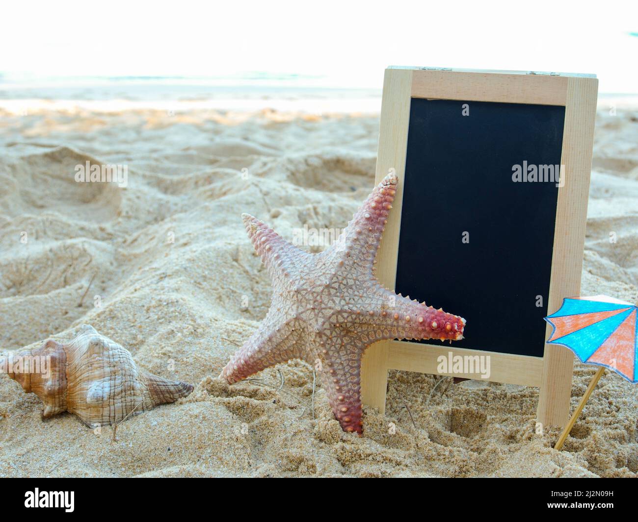 blackboard, shell, on the sand. summer concept Stock Photo Alamy