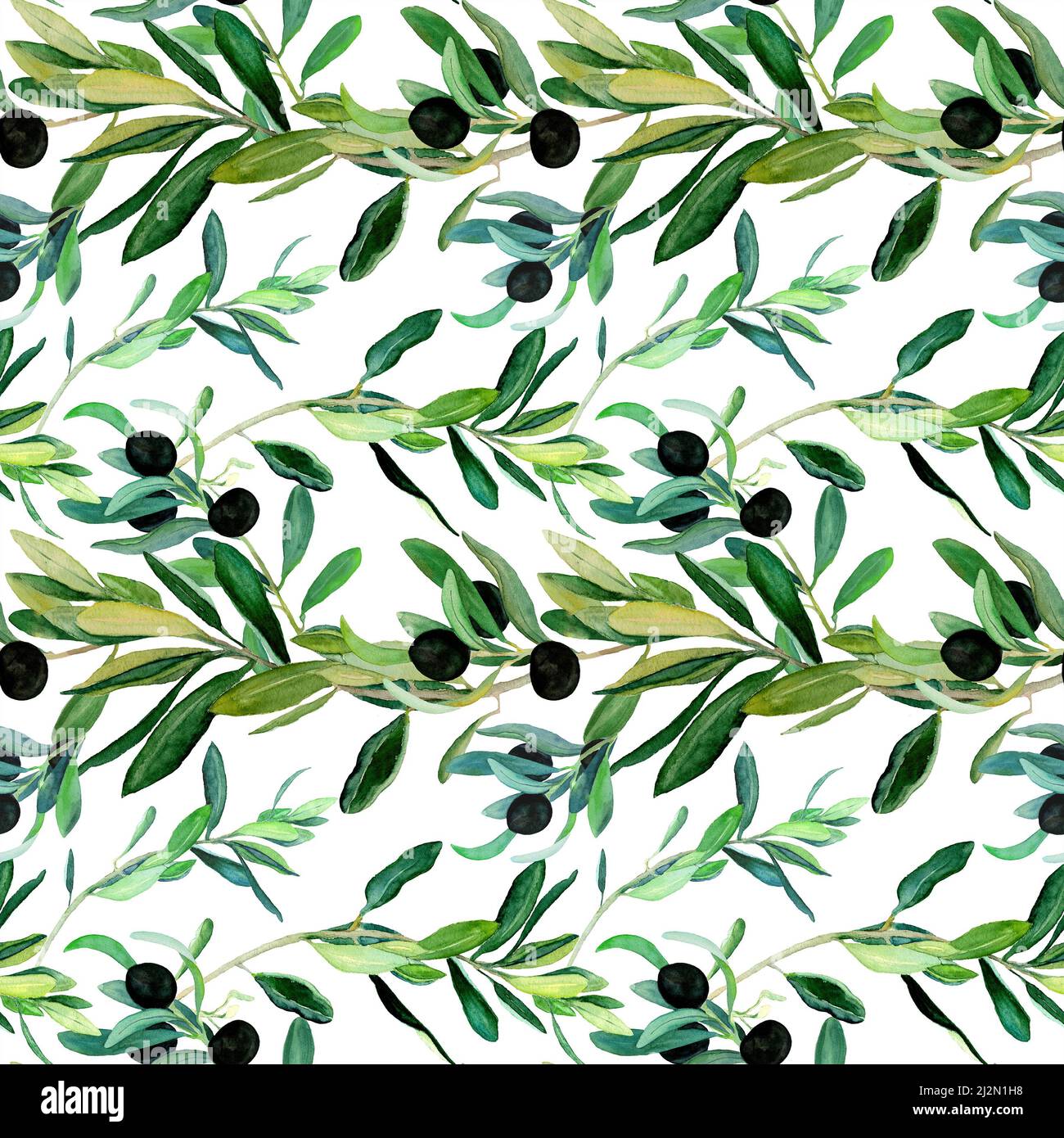 Watercolor olive branches seamless pattern on white background. Hand ...