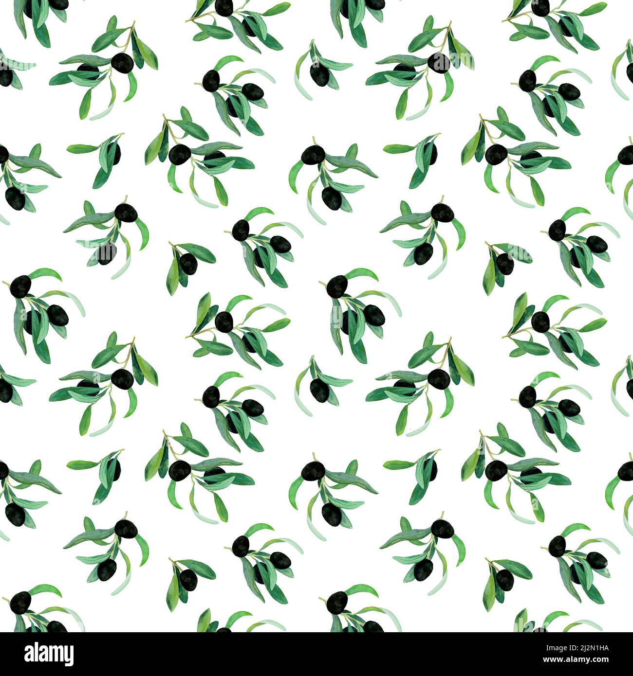 Watercolor olive branches seamless pattern on white background. Hand ...