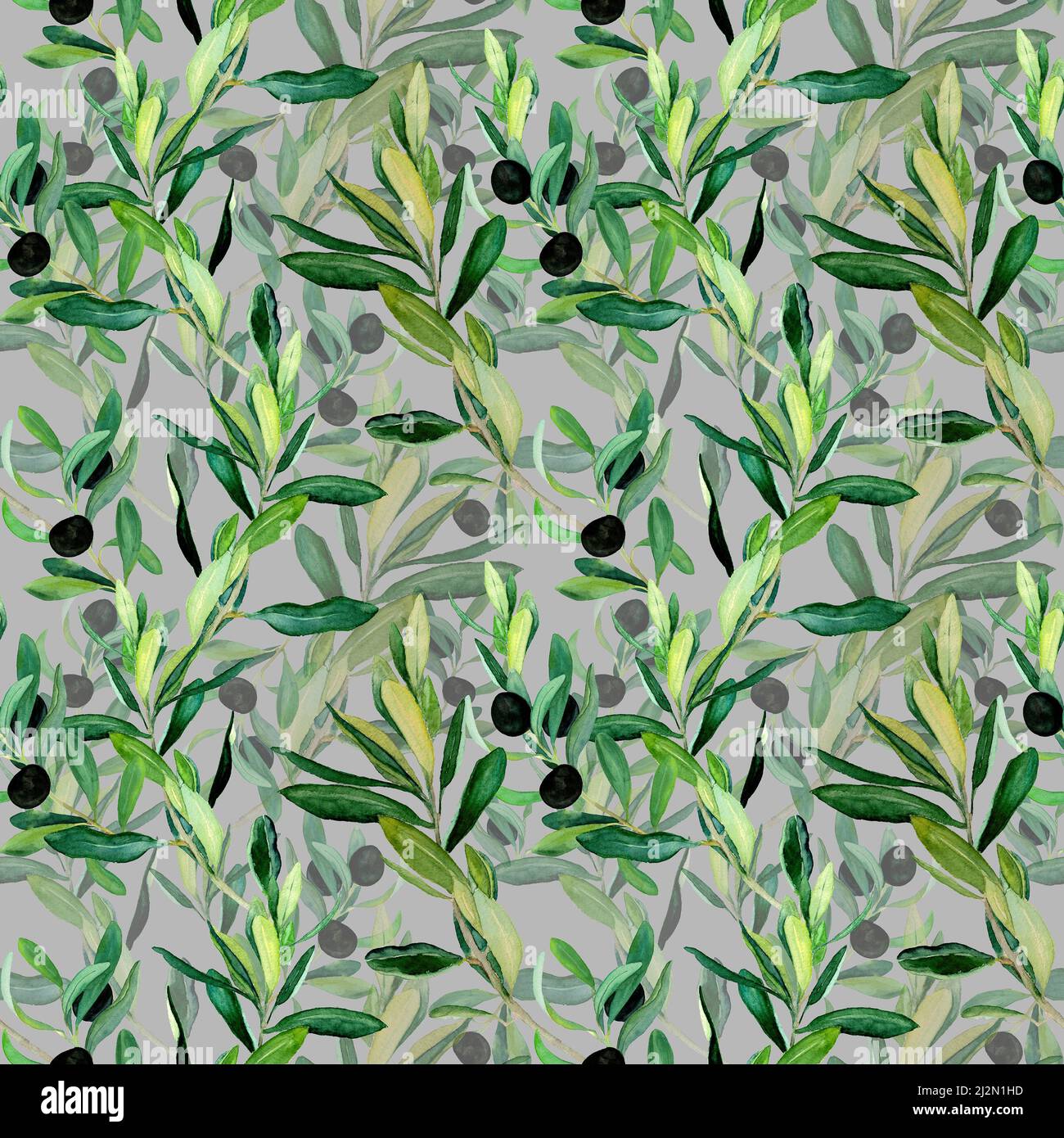 Watercolor olive branches seamless pattern on white background. Hand ...