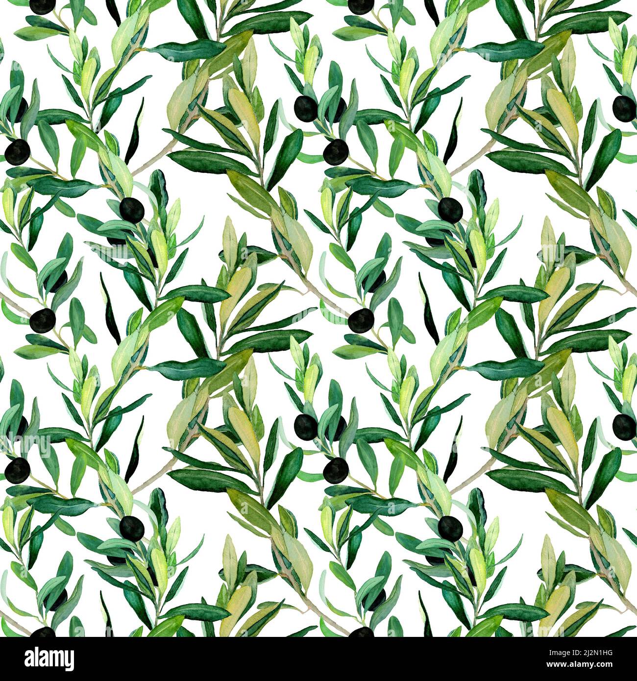 Watercolor olive branches seamless pattern on white background. Hand ...