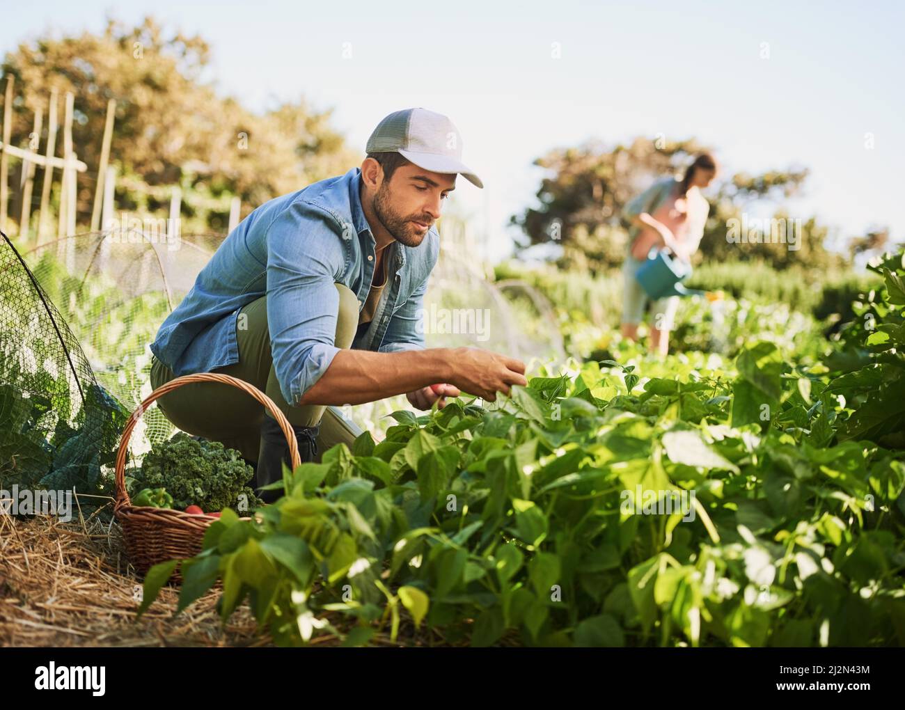 Reaping the rewards of his hard work. Shot of two happy young farmers