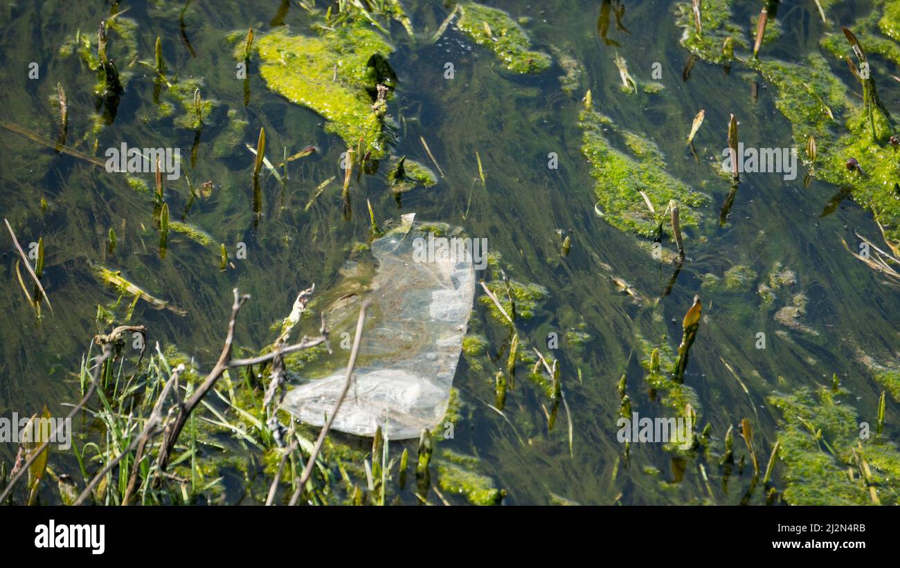 Non-recyclable plastic bottle on the surface of a dirty pond. Concept of plastic pollution, climate change and environmental conservation. Micro plast Stock Photo