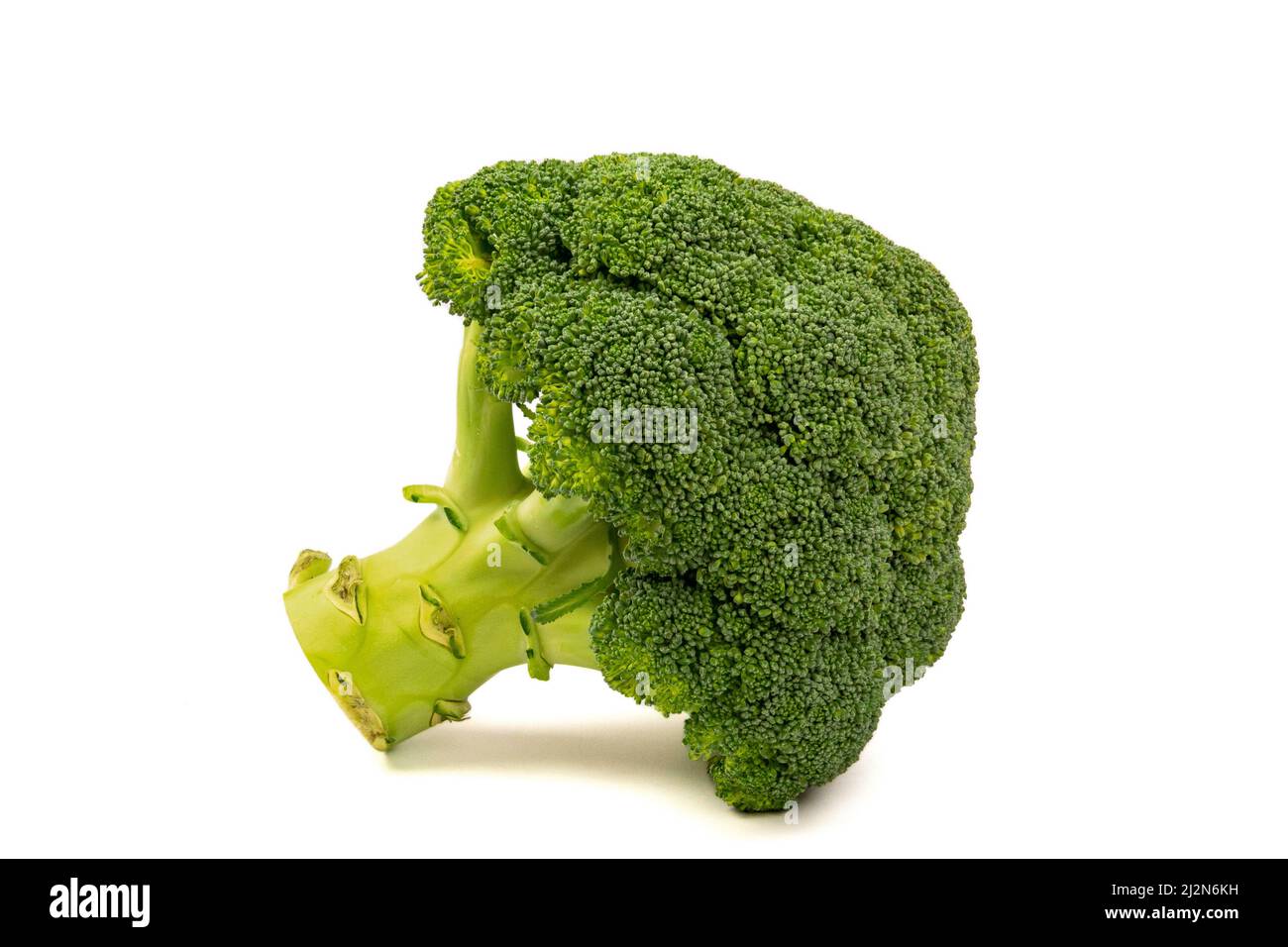 raw broccoli isolated on a white background Stock Photo