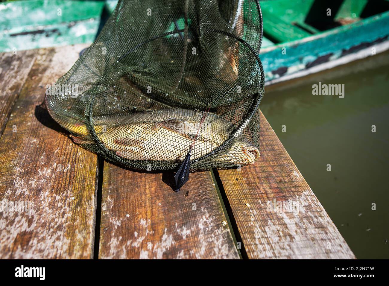 Fresh water fishing net lake hi-res stock photography and images - Alamy