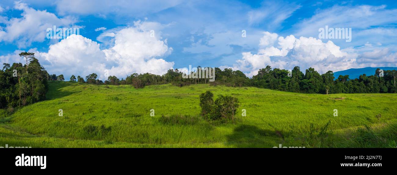 Panorama of the summer landscape in the morning at park, fresh green field against beautiful blue sky and clouds. Idyllic rural view of pretty surroun Stock Photo