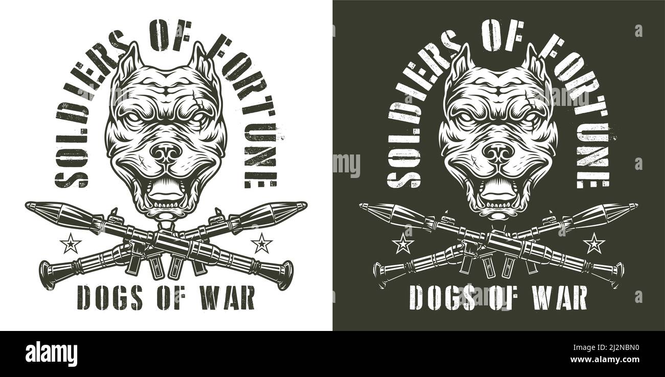 Vintage military monochrome emblem with pitbull head and crossed rocket ...