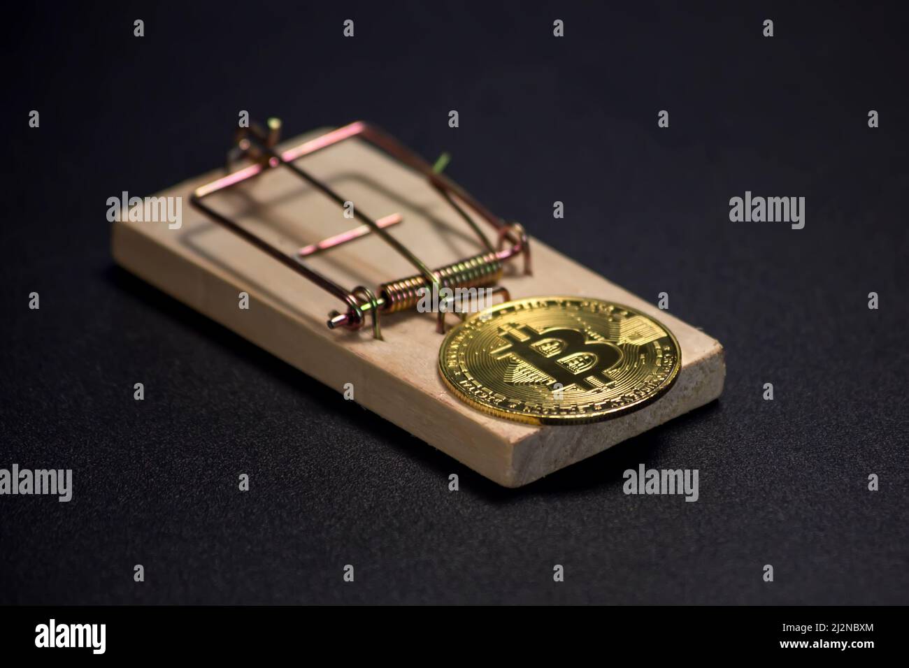 Bitcoin coin on a mousetrap. Risks and dangers of investing to cryptocurrency Stock Photo