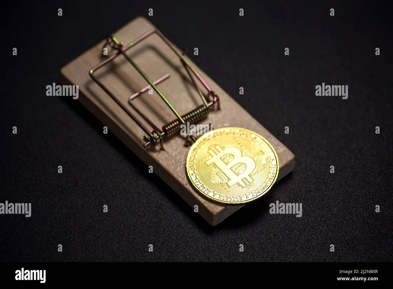 Bitcoin coin on a mousetrap. Risks and dangers of investing to cryptocurrency Stock Photo