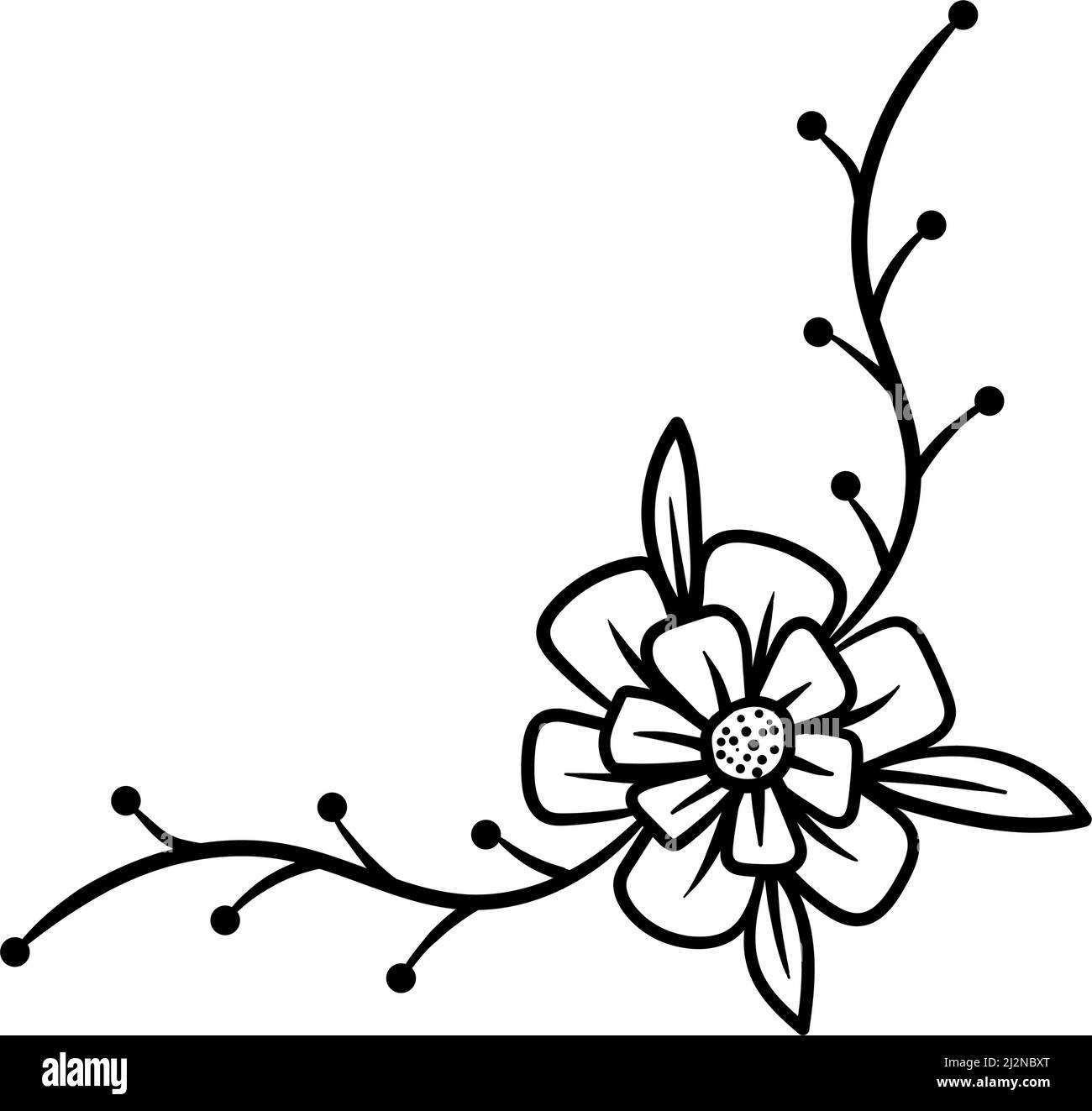 Simple line drawing floral composition with various big and small flowers  and leaves isolated on white background, warm ink drawing Stock Photo -  Alamy