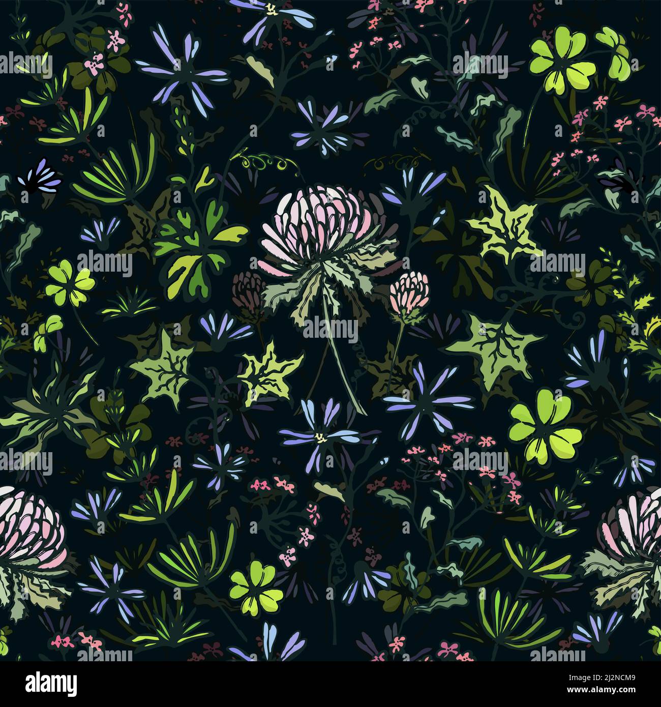 Wildflowers seamless pattern on a black background. Handwork. Vector illustration Stock Vector