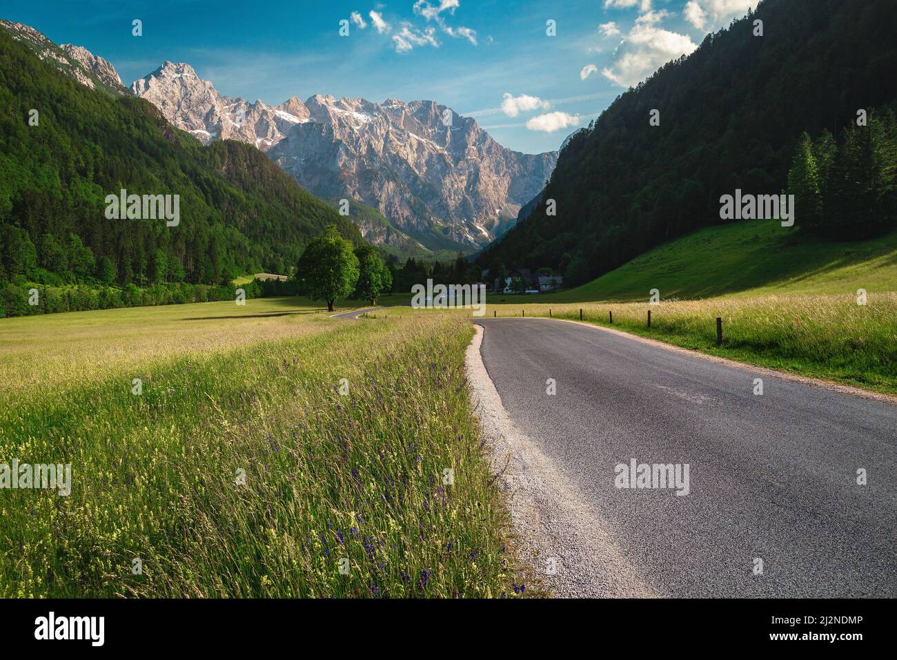 Beautiful summer alpine scenery, flowery meadows and snowy mountains, Logar valley (Logarska dolina), Kamnik Savinja Alps, Slovenia, Europe Stock Photo