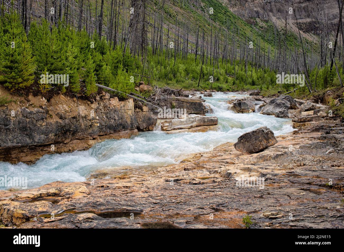 Waterfall,Marble Canyon. Kooteny National Park, Canada Stock Photo Alamy
