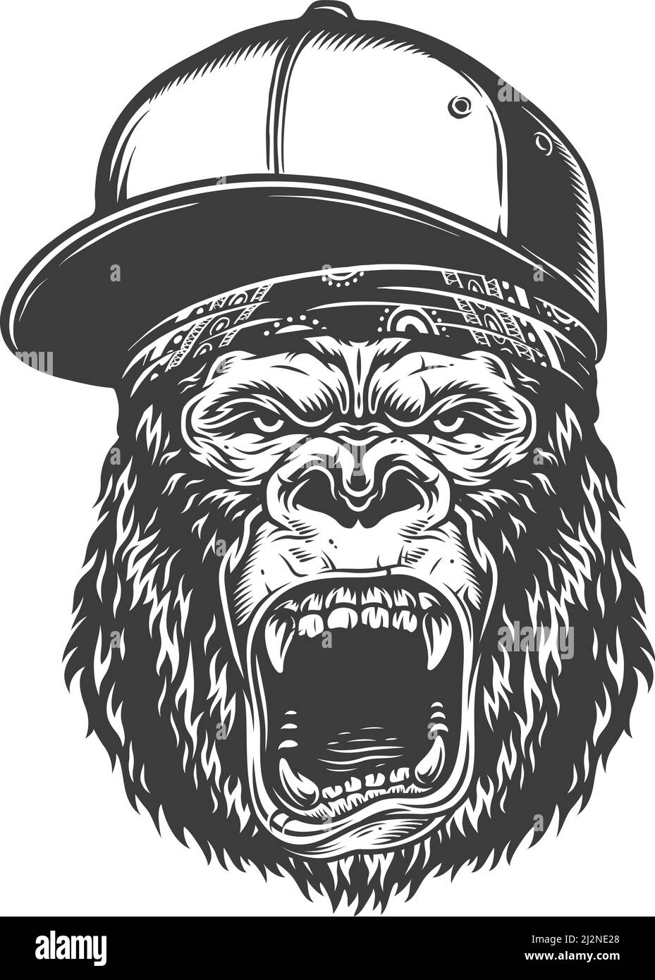 Vector illustration, angry gorilla head in the baseball hat on a white