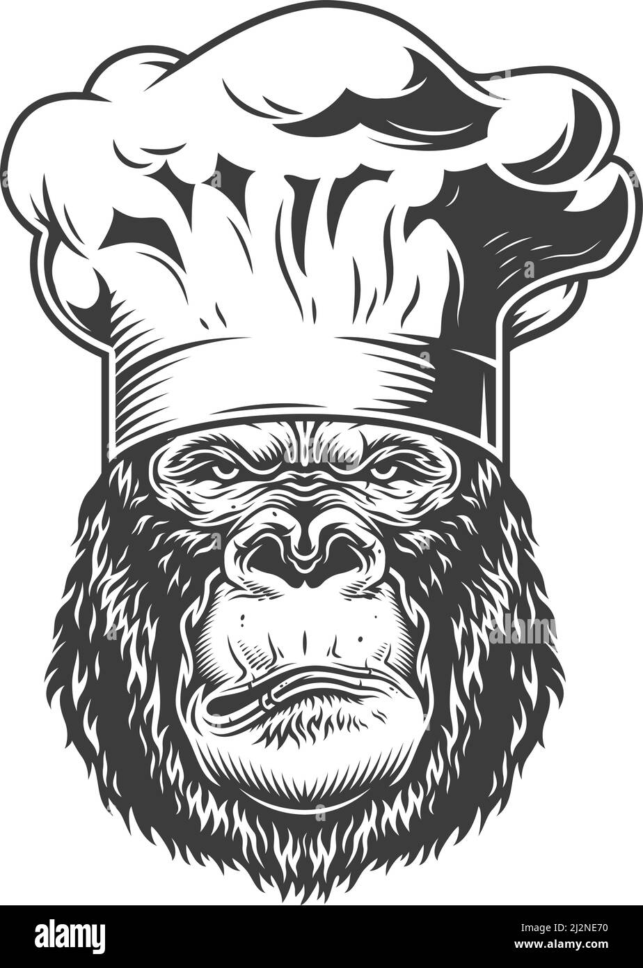 Vector illustration, serious gorilla head in chef hat on a white