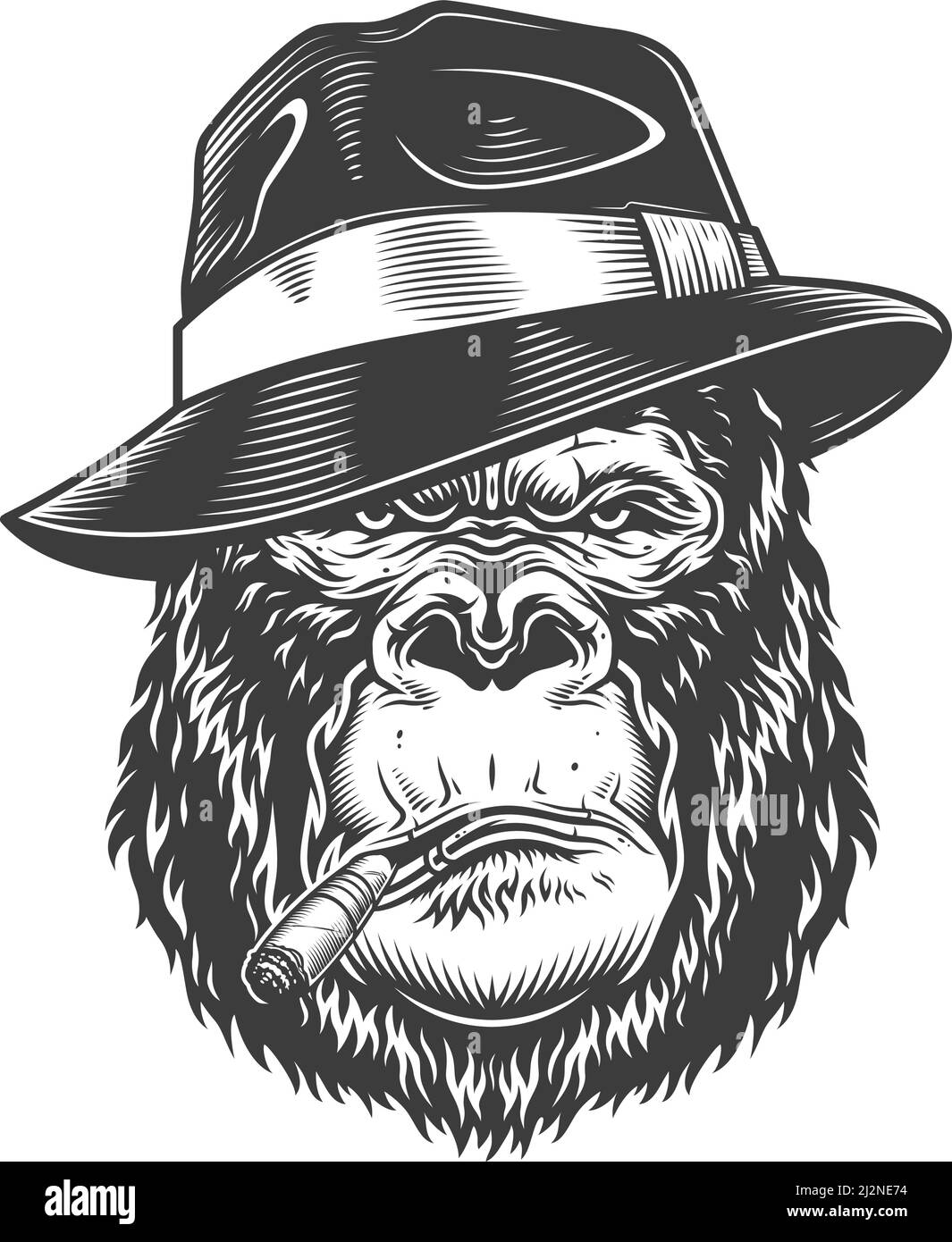 Vector illustration, serios gorilla head in fedora hat with cigarette on a white background Stock Vector