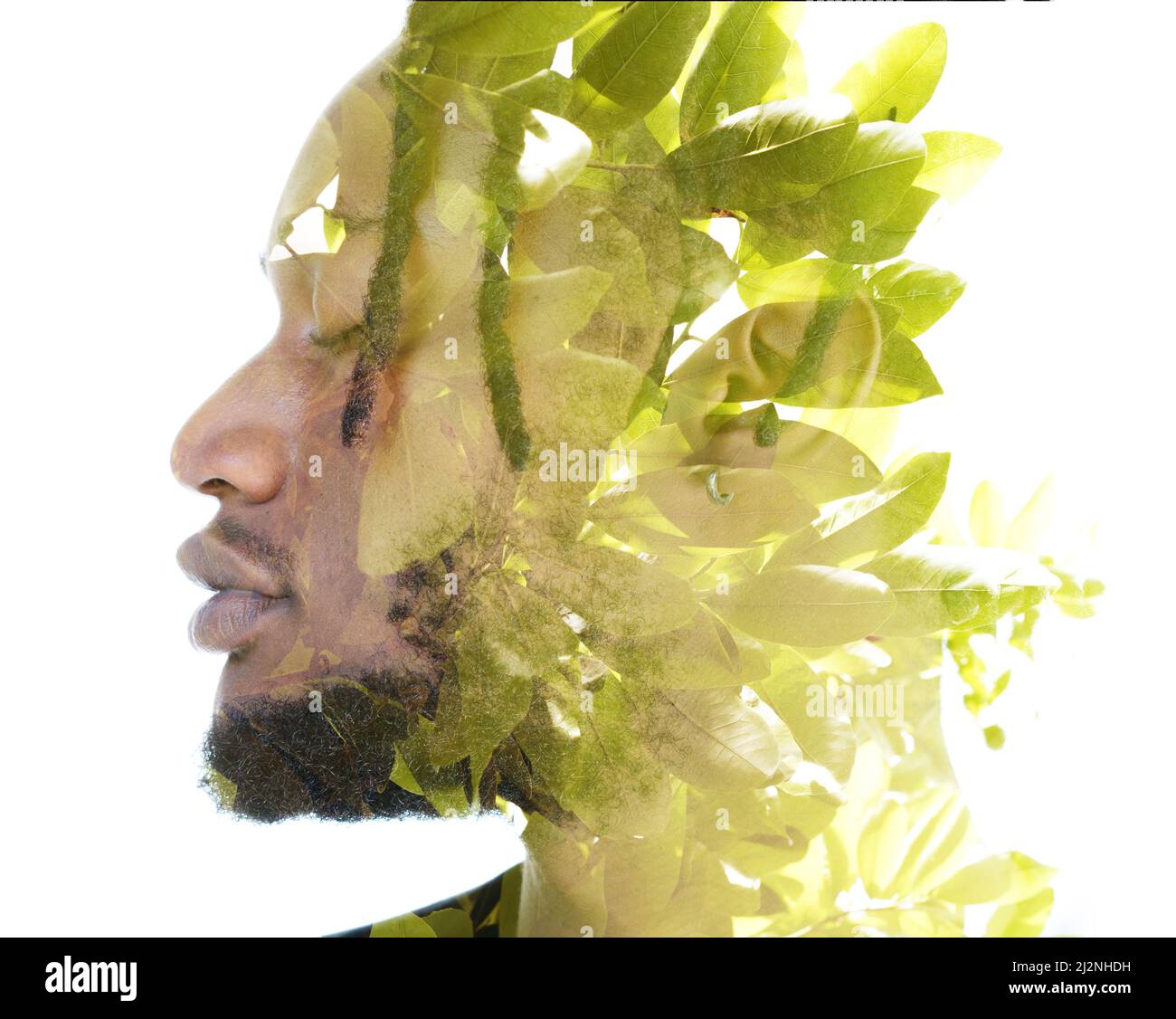 A double exposure portrait of a man combined with an image of green ...